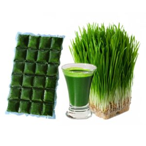 Sultys "Wheatgrass"